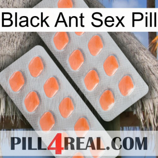 Black Ant Sex Pill 27